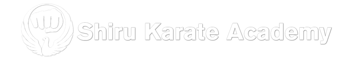 Shiru Karate Academy